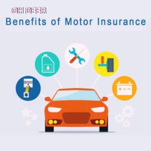 Motor Insurance coverage: Every Part Best info In 2025