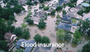  Flood Insurance: Your Defend Towards Nature’s Fury 2025 