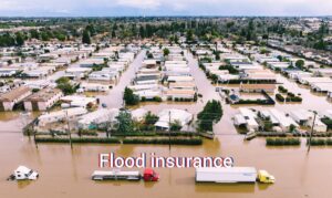  Flood Insurance: Your Defend Towards Nature’s Fury 2025 