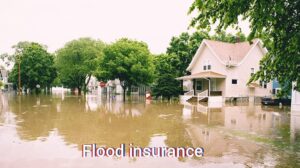  Flood Insurance: Your Defend Towards Nature’s Fury 2025 